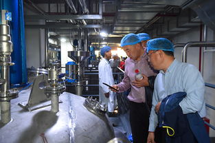 上海蜂花智能工廠投產(chǎn)，4億元投資驅(qū)動(dòng)產(chǎn)業(yè)升級(jí)與互聯(lián)網(wǎng)銷售新布局